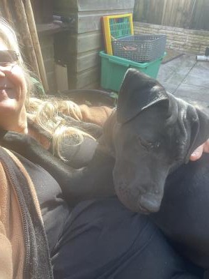 Make New Friends Sevenoaks, Susan, 61 years old