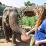 Make New Friends Bromyard, Holly, 34 years old